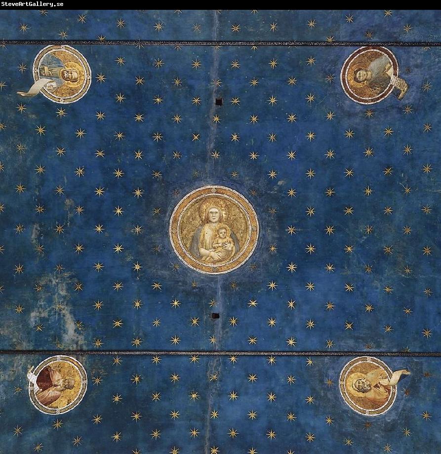 GIOTTO di Bondone Vault fgt